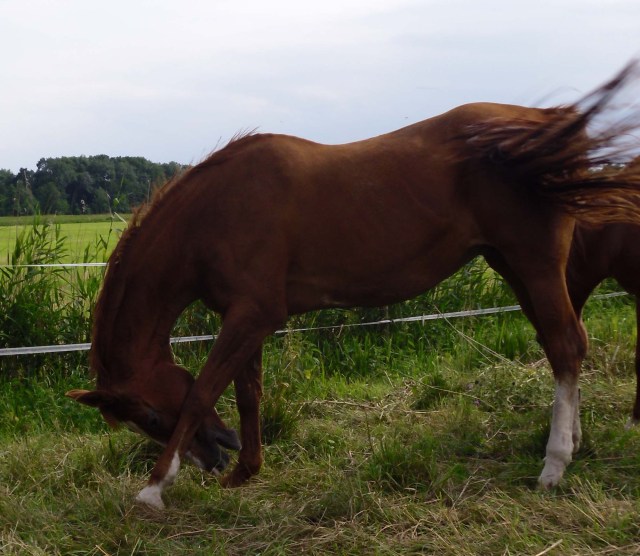 Miranda-16.07.2011-c