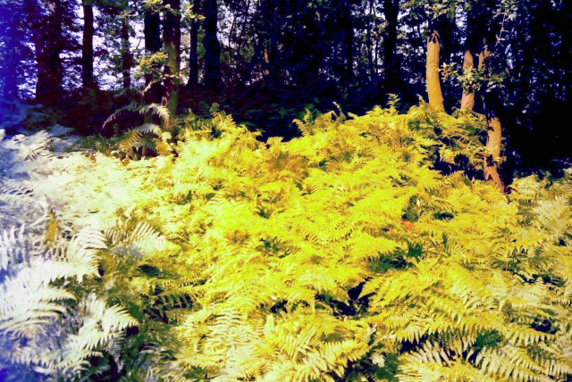 Tunneltal Sommer Tinka 4