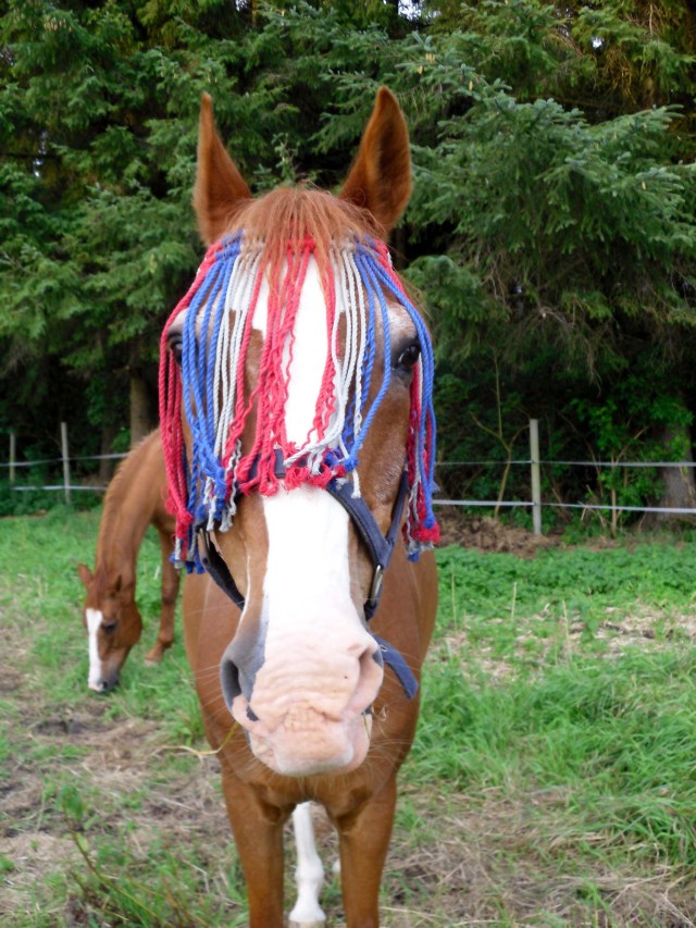 Bachus-Indianer-17.07.2011-g