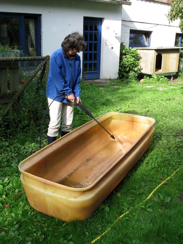 Reinigung ohne Werbung! 06.09.2011