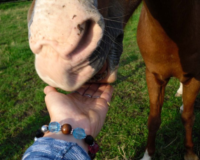 Party-28.08.-Bachus-4