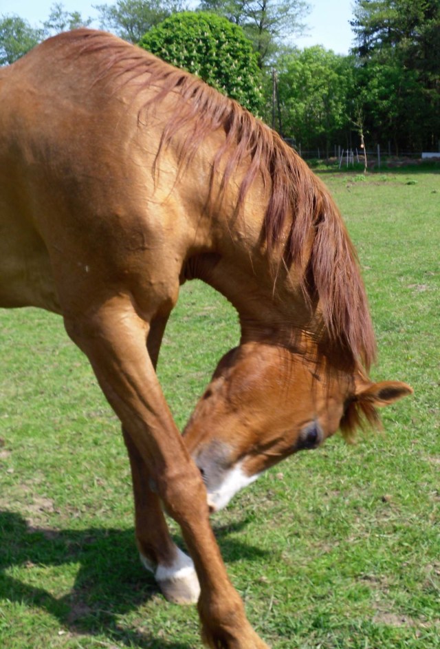 Miranda-f-21.05.2012