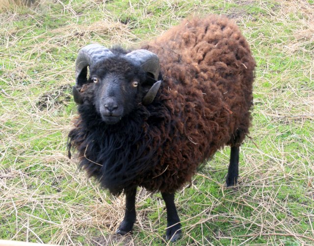 Carsten-März-2011-b