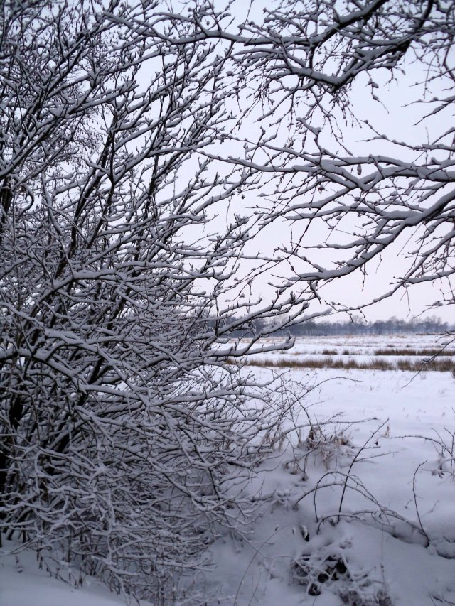 Schnee-18.03.2013-Land
