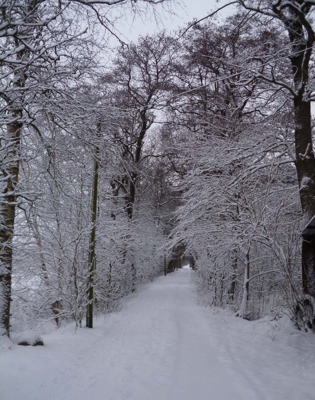 Schnee-18.03.2013-Weg-2
