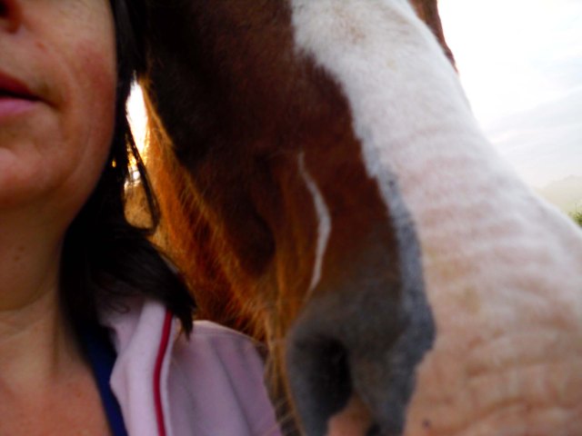 Morgens-um-7.00-mit-Pferd