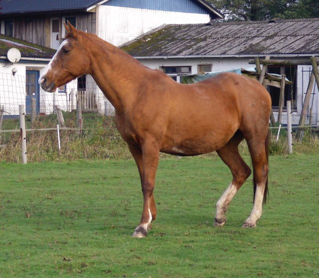 Miranda-schläft-nah