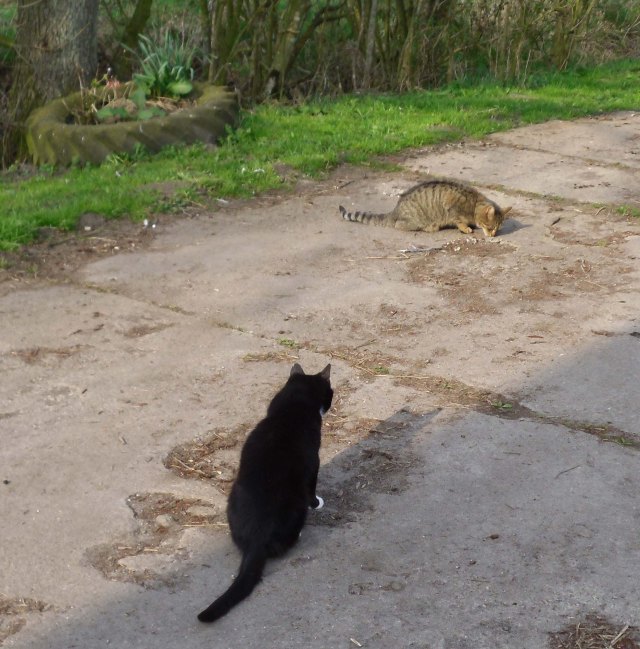 Pisa-u-Mary-April-2014