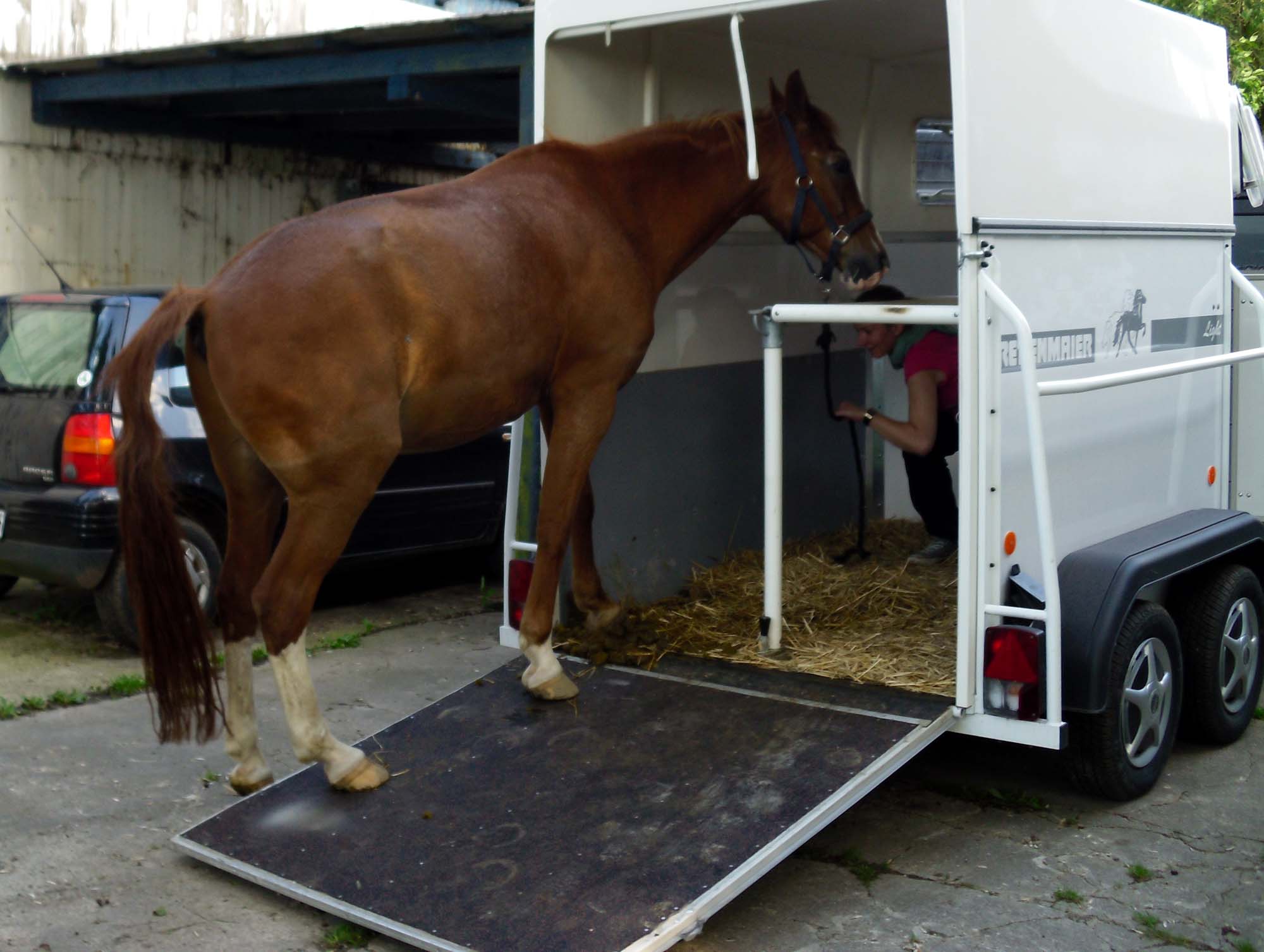 Bachus-geht-v-Hänger-3