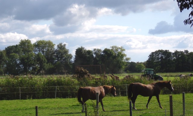 September-2014-Weide