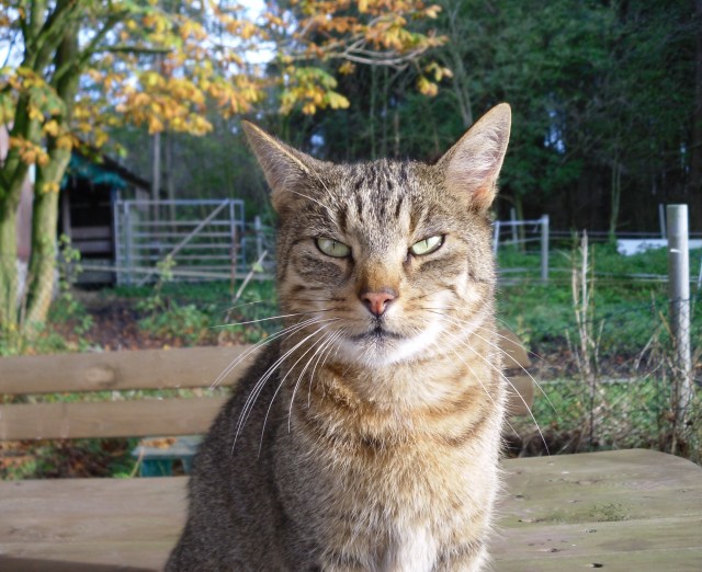 Mary-09.11.2014-sitzt