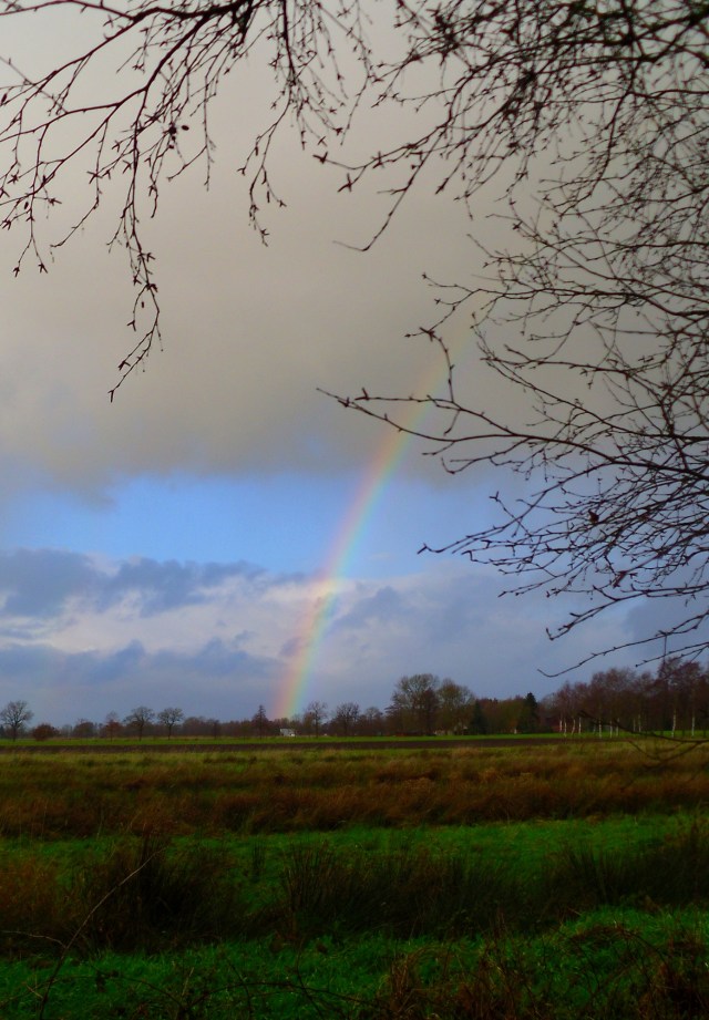 Regenbogen-10.12.2014
