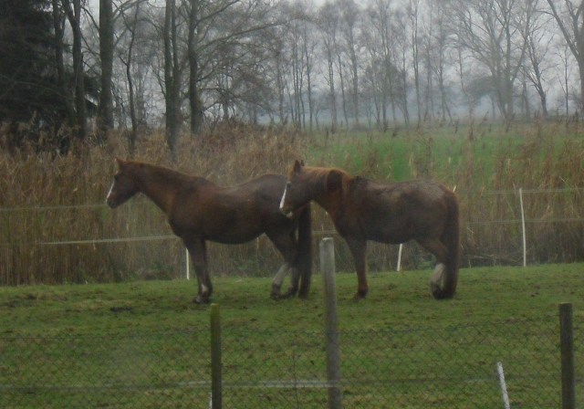 Schlafen-a-30.11.2014