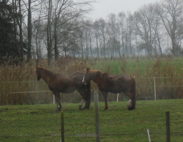 Schlafen-b-30.11.2014