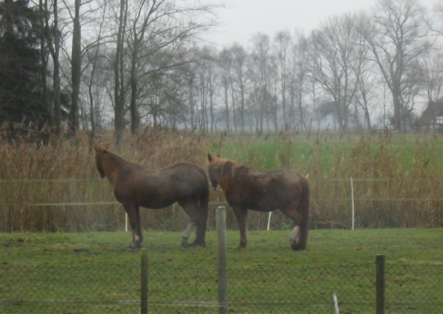 Schlafen-c-30.11.2014