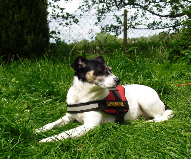 Campa-immer-wachsam-06.2013