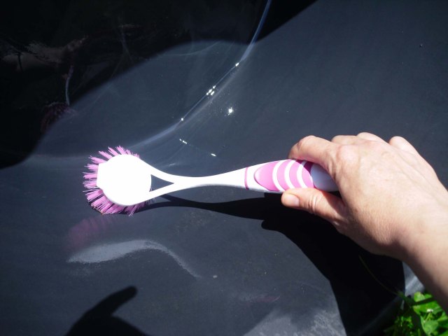 Wassertrog-schrubben-nah