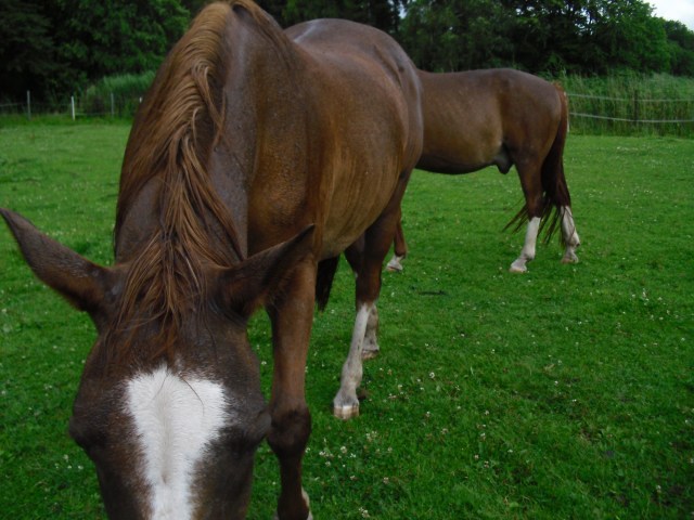 Pitsche-Patsche-nass-2