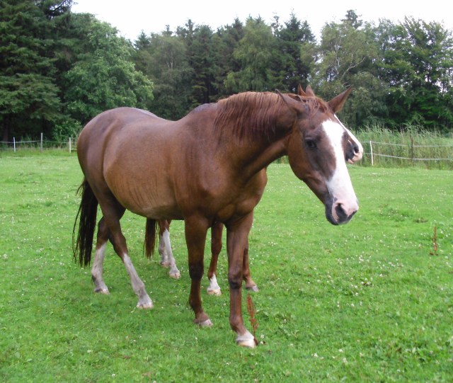 Pitsche-Patsche-nass-4