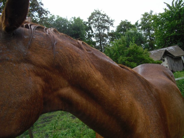 Pitsche-Patsche-nass-7