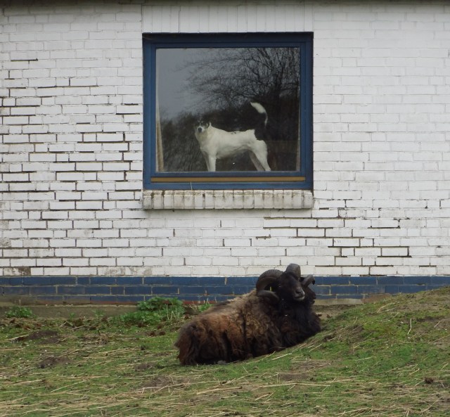 Campa-Carsten-27.04.2015