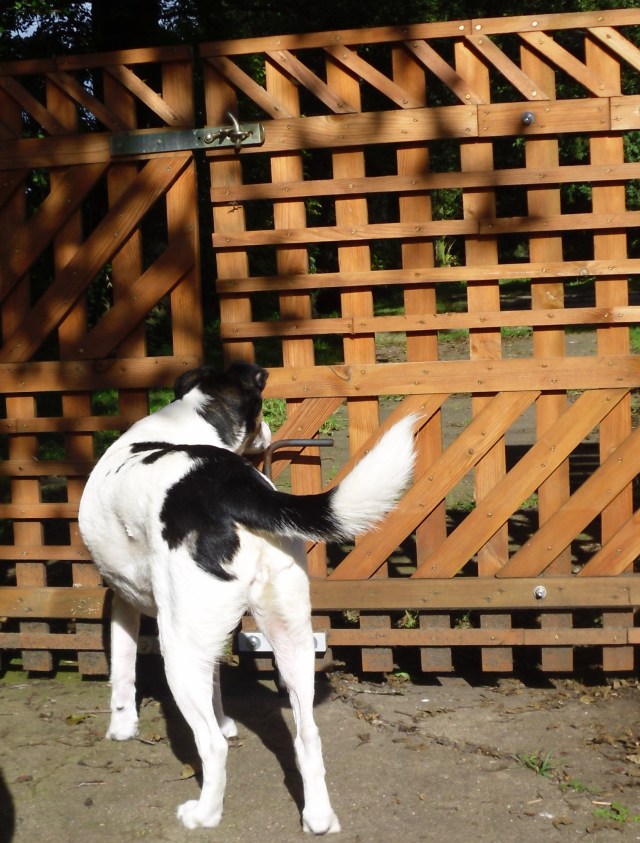 Campa-hier-wache-ich