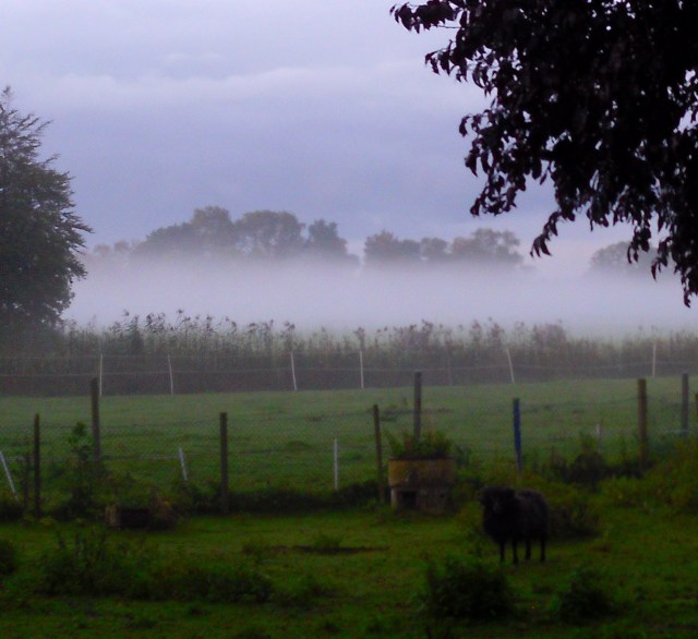 Nebel-Sep-2015-a