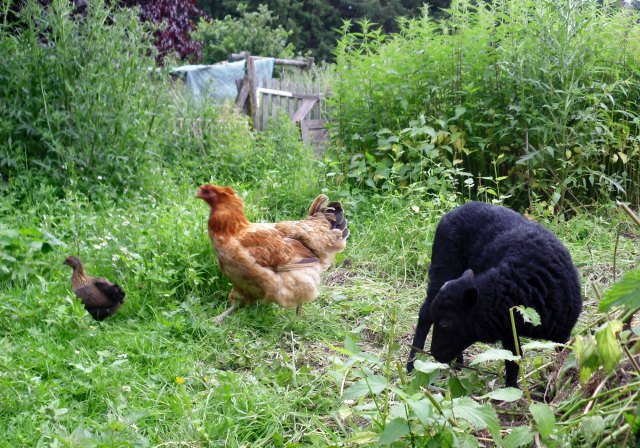 Antonia-Kindergarten