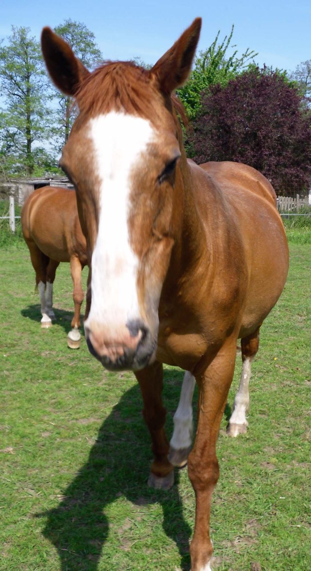 Miranda-Bachus-b-21.05.2012