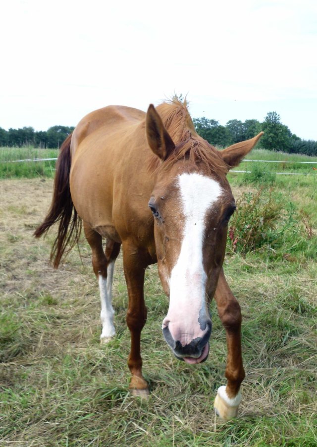 Miranda-Clown-07.07.11