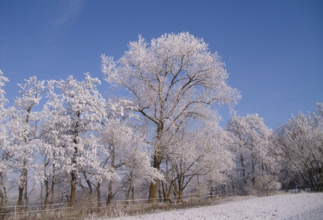 Winter-Blau-22.01.2016-d