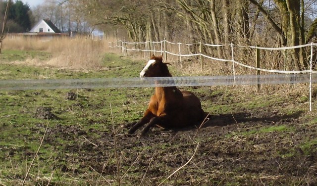 Miranda-23-02.2016-q