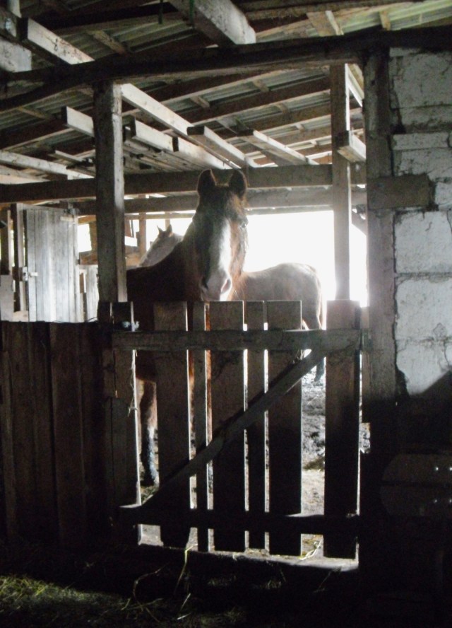 Gibt´s jetzt Müsli?