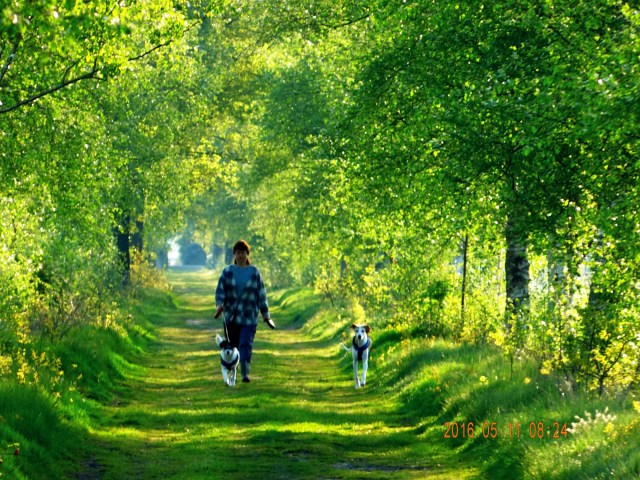 Gassi-gehen-11.05.2016-a