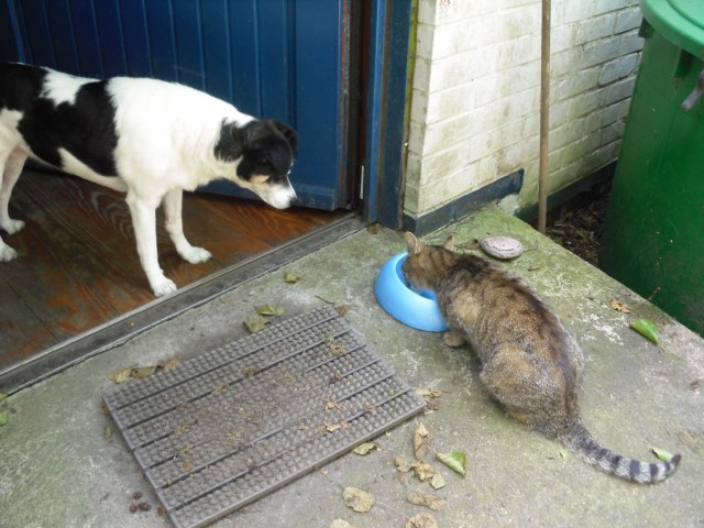 Campa-u-Mary-25.07.2016-a