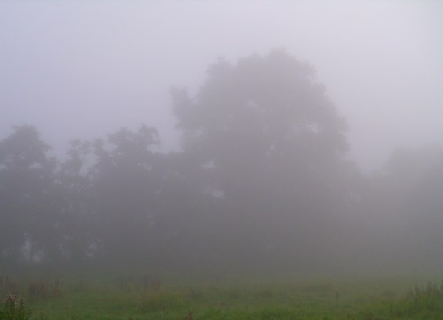 Nebel-22.07.2016-e
