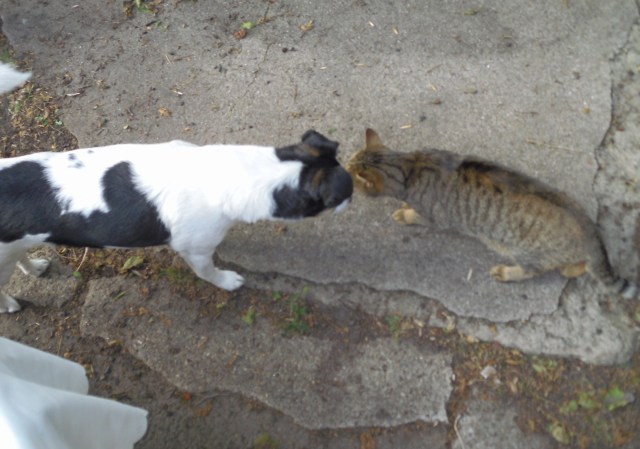 campa-mary-24-09-2016-a