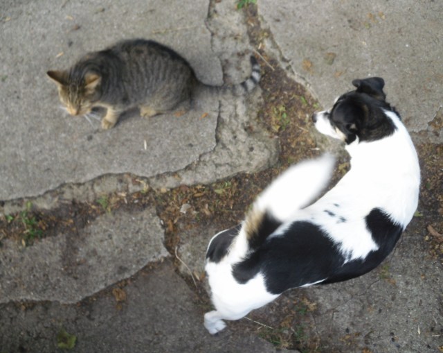 campa-mary-24-09-2016-b