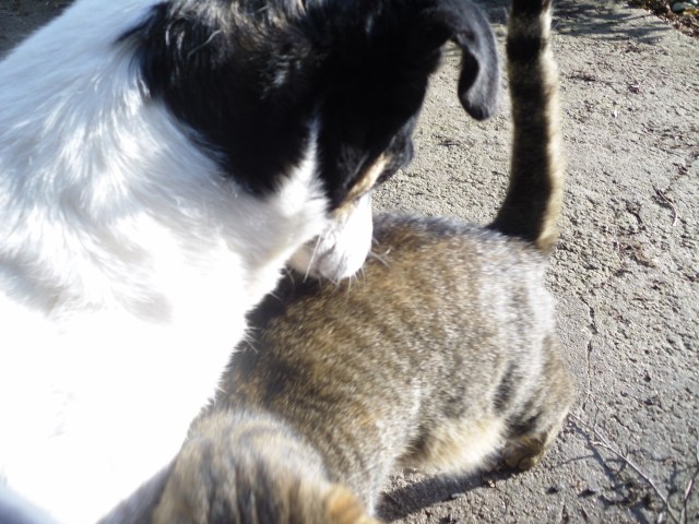 campa-mary-25-09-2016-a