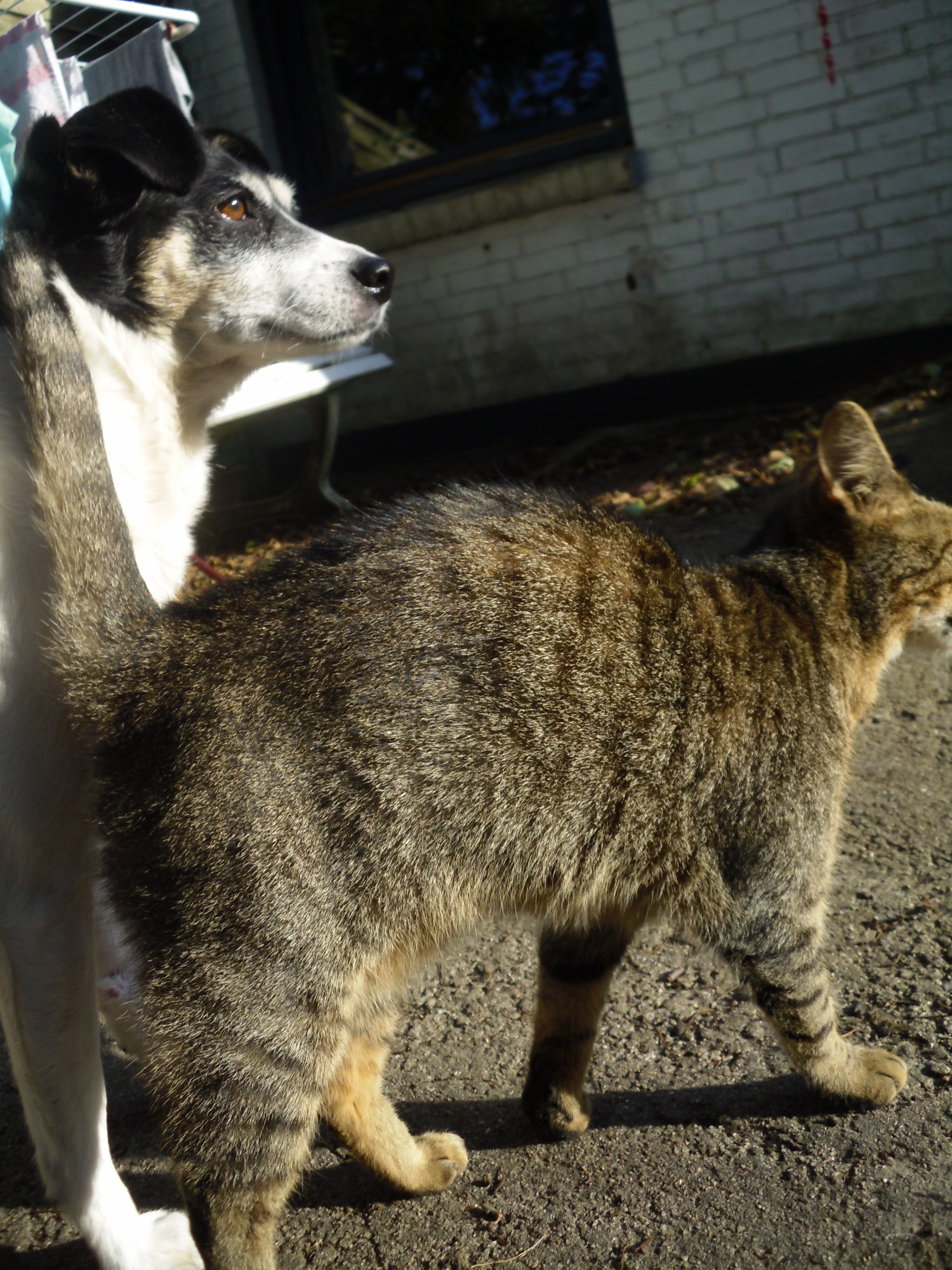 campa-mary-25-09-2016-b