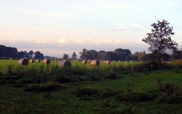 heu-rundballen-21-09-2016-a