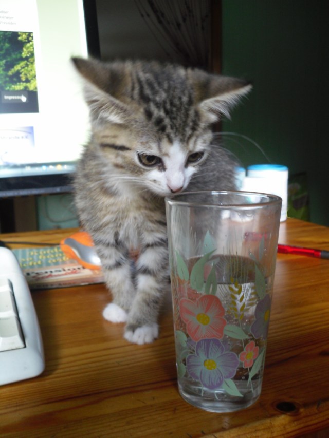 jane-09-09-2015-schreibtisch-b