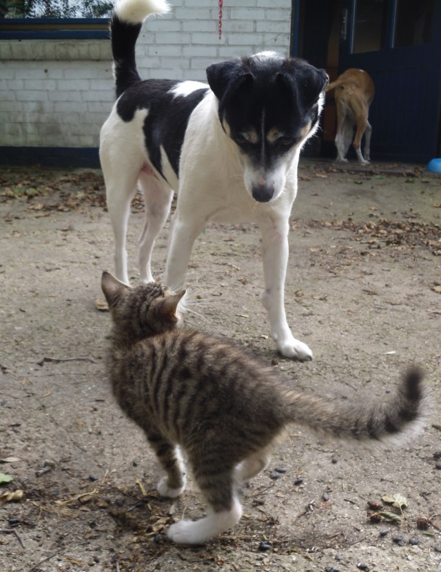 luzy-campa-21-09-2016-c