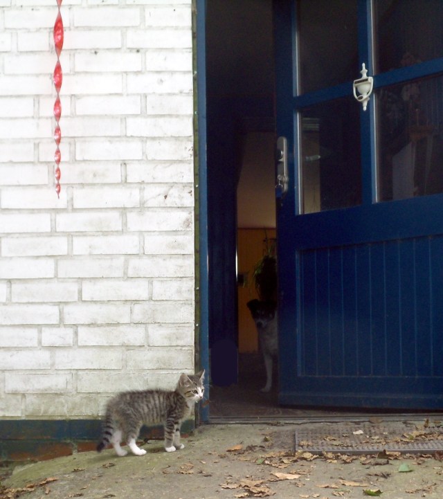 luzy-draussen-21-09-2016-d