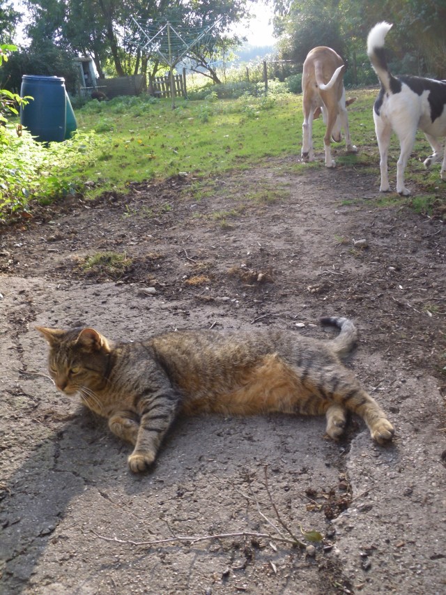 mary-hunde-25-09-2016-a