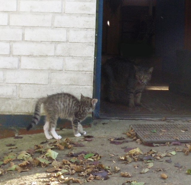 mary-luzy-25-09-2016-a