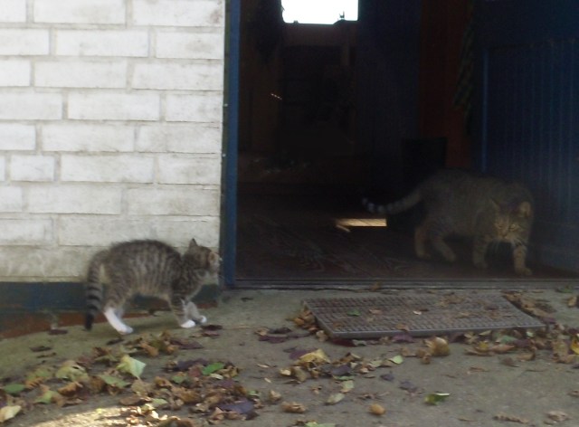 mary-luzy-25-09-2016-b