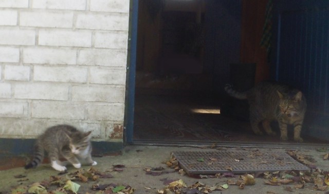 mary-luzy-25-09-2016-c