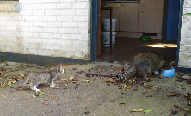 mary-luzy-25-09-2016-d