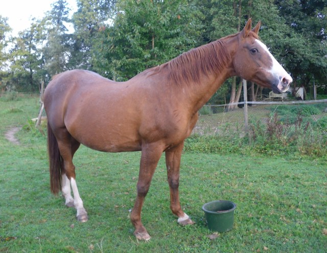 miranda-21-09-2016-a